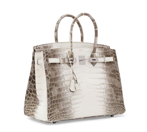 himalaya niloticus crocodile birkin 35.